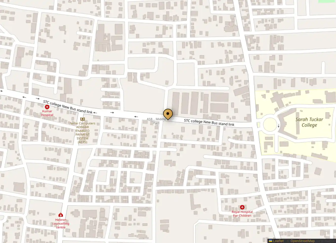 Map showing the Magizham Poo Fireworks shop location, marked with a gold pin.